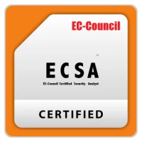 ECSA certification